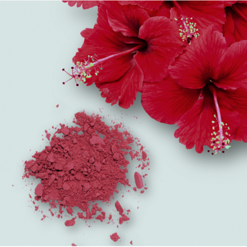 Hibiscous Powder